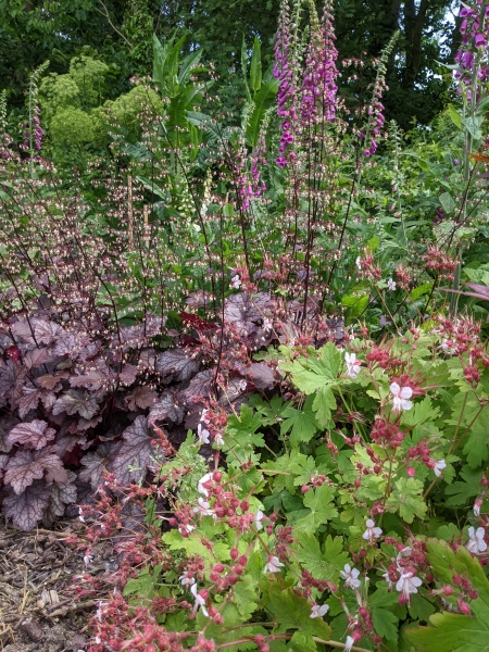 Glenholme Herbs